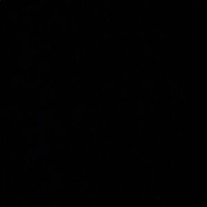 Meet your Posher, Troy